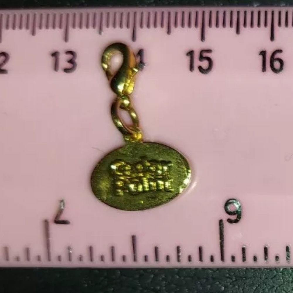 Rare, Official Cedar Point Ride Charm - Cedar Point (Discontinued) - Picture 3 of 16